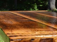 13643747 1737993969793696 1762082735 n