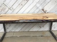 15534626 1819174071704005 4709751516343304192 n