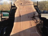 18011765 1035603329872950 3511647106106392576 n