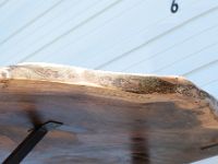 18809662 133758820525549 7135589237428060160 n